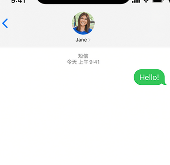 郊区apple维修iPhone上无法正常发送iMessage信息