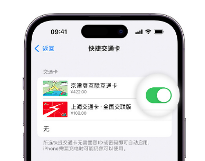 郊区apple维修点分享iPhone上更换Apple Pay快捷交通卡手绘卡面 