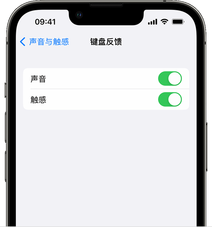 郊区苹果14维修店分享如何在 iPhone 14 机型中使用触感键盘 