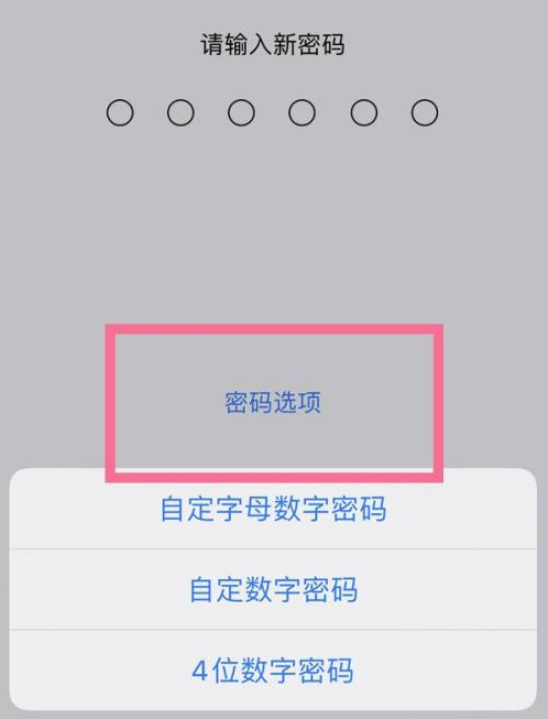 郊区苹果14维修分享iPhone 14plus设置密码的方法 