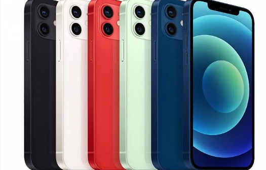 郊区苹果维修点分享iPhone12 Pro Max进水维修 